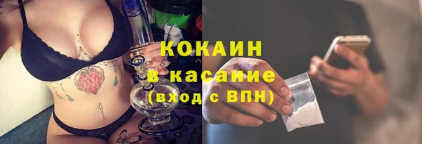 сатива Болохово