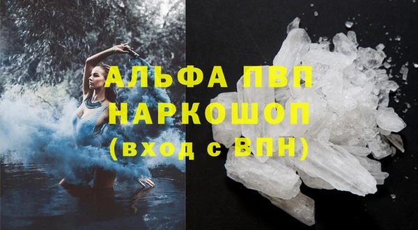 сатива Болохово