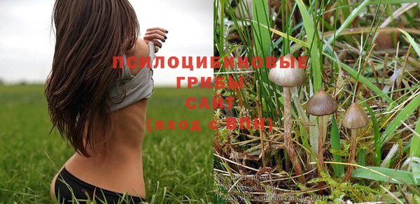 прущая мука Болхов