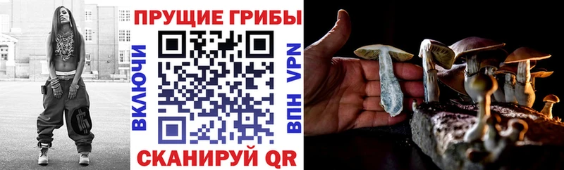 Галлюциногенные грибы мухоморы  Бирск 